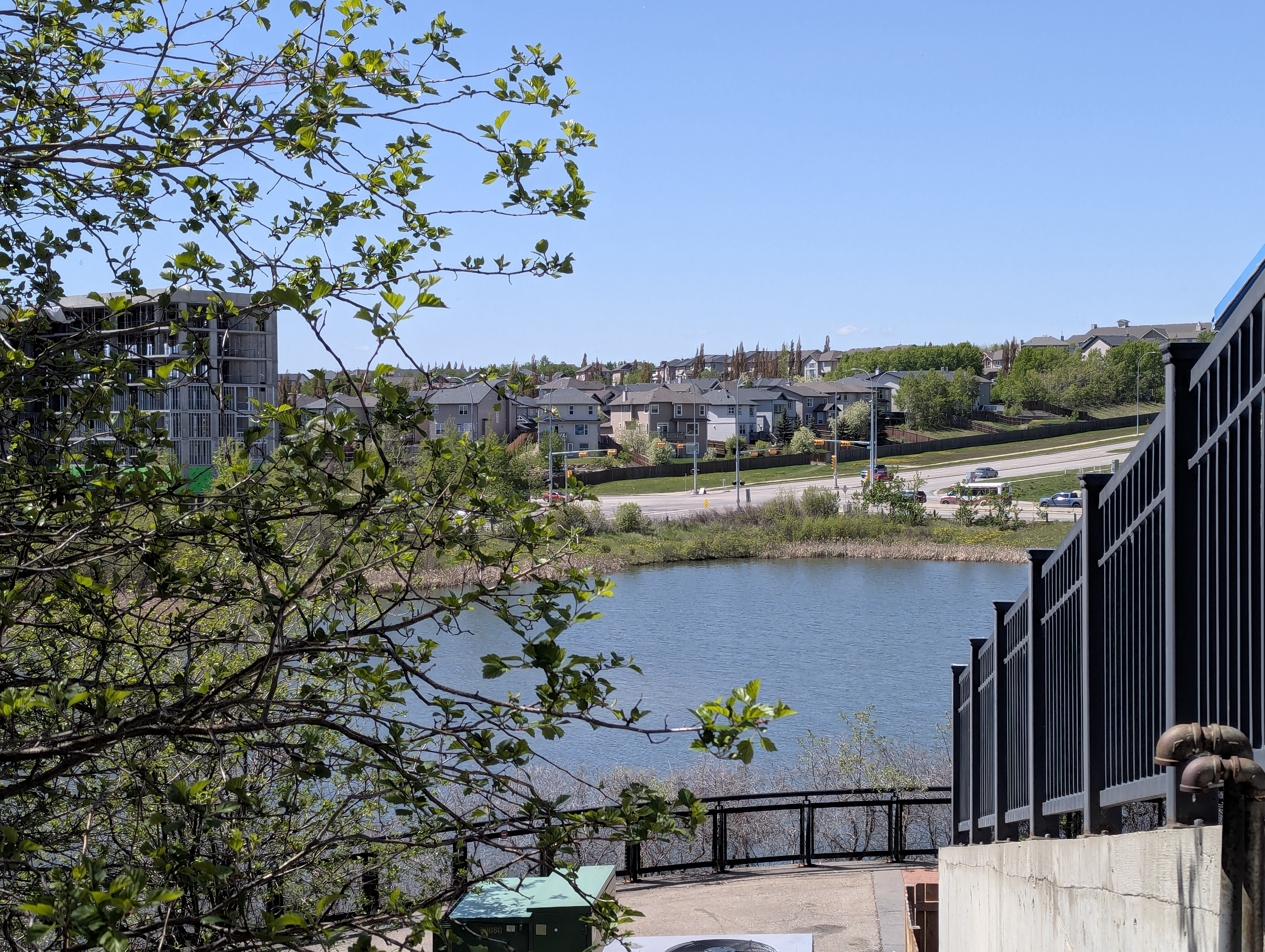 Birthday Trip to Canada, Calgary